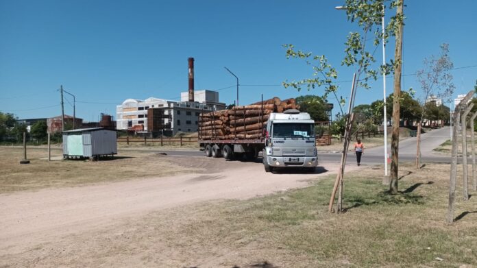 c8fb006f-a060-4b91-92f9-4df50b105792