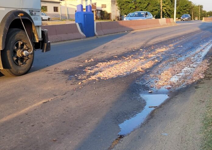 35d7ed74-9e53-49f1-89f8-265a4844dc9d