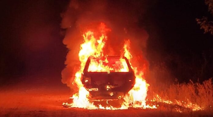 bb4840c5-d52d-40c4-80b4-656030e7326f