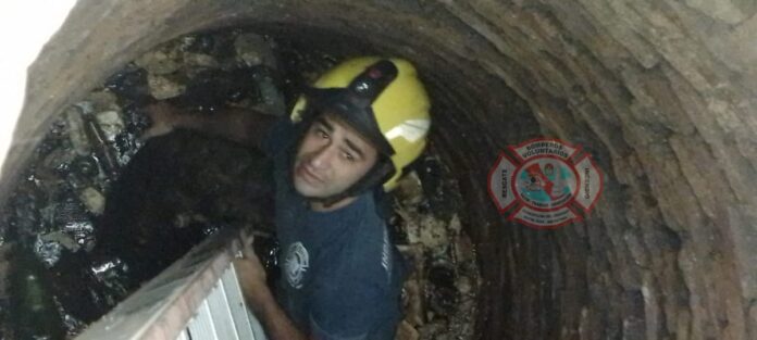 WhatsApp Image 2023-03-03 at 09.38.05