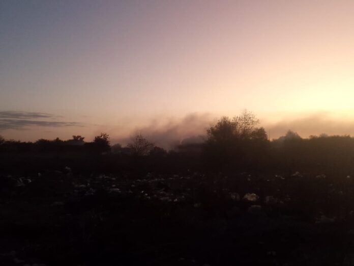 WhatsApp Image 2023-03-10 at 07.27.56