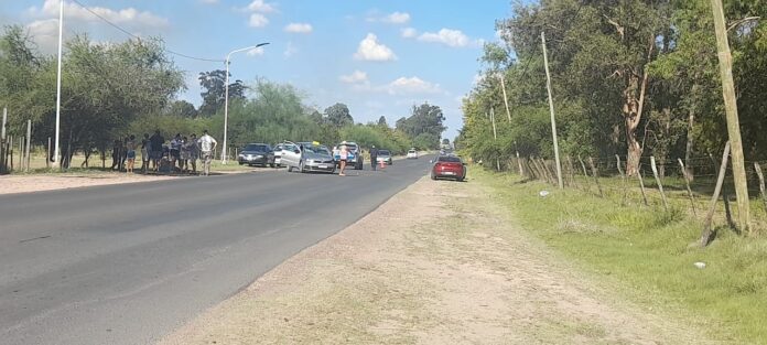 WhatsApp Image 2023-03-11 at 16.28.40