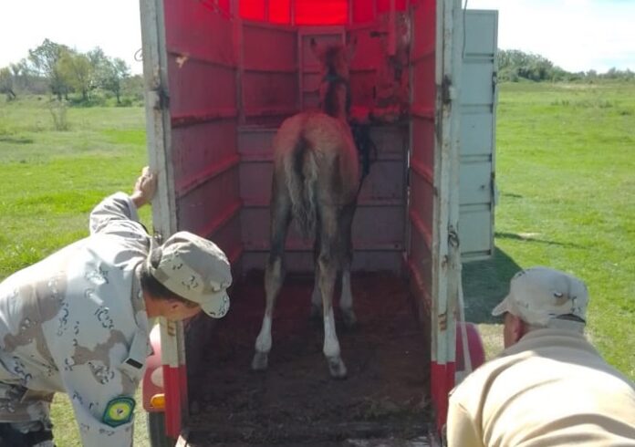 5fed69a0-c346-48cb-b046-585e21ae0c02