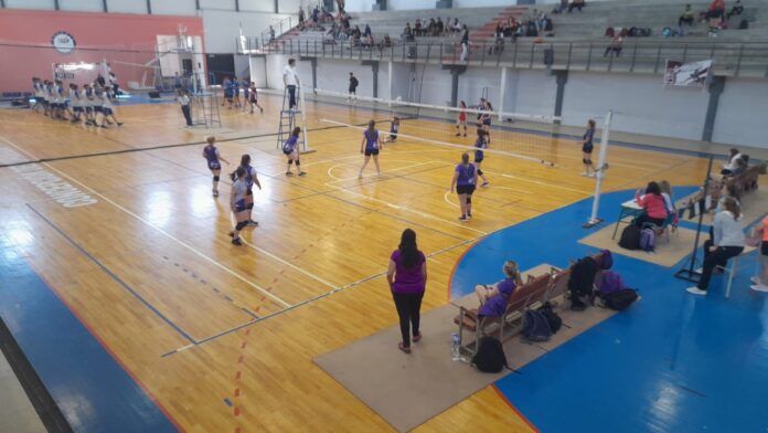 WhatsApp Image 2023-04-13 at 10.56.33