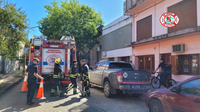 WhatsApp Image 2023-04-14 at 11.47.22