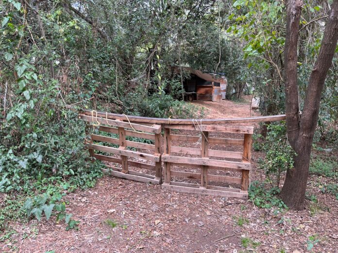 WhatsApp Image 2023-04-22 at 15.37.25