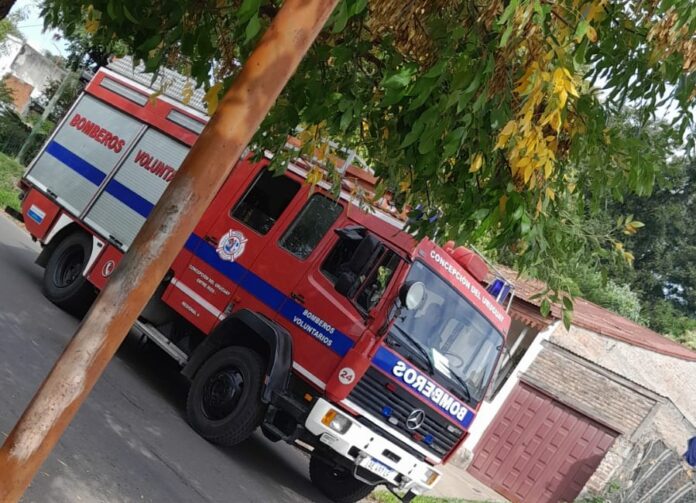 WhatsApp Image 2023-04-24 at 12.03.07