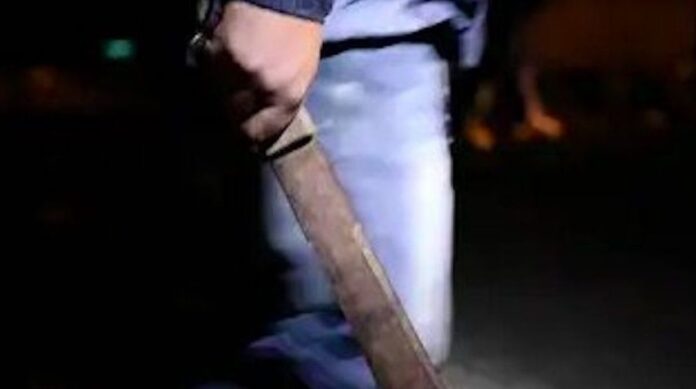 WhatsApp Image 2023-04-29 at 19.07.58