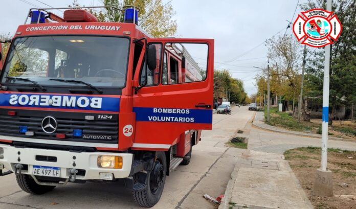 WhatsApp Image 2023-05-05 at 11.50.22