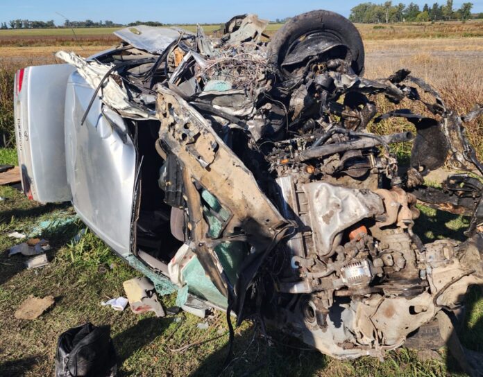 WhatsApp Image 2023-05-14 at 11.02.16