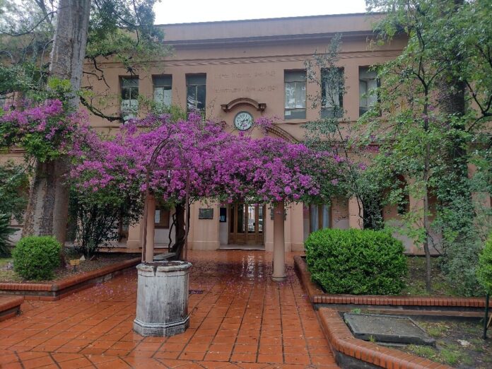 colegio nacional 55