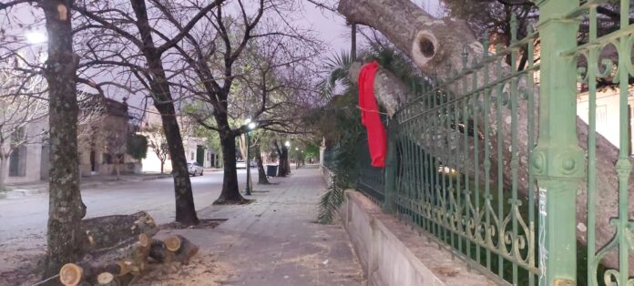 Imagen de WhatsApp 2023-09-23 a las 19.20.36