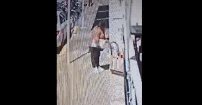 WhatsApp Image 2023-09-29 at 11.08.13