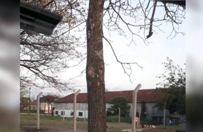 Imagen de WhatsApp 2023-10-17 a las 10.33.41_7078a68f