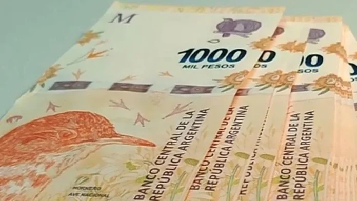 anses_1000_pesos_1_crop1646828600854.jpg_966076397