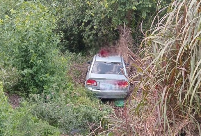 IMG-20231121-WA0001 (1)