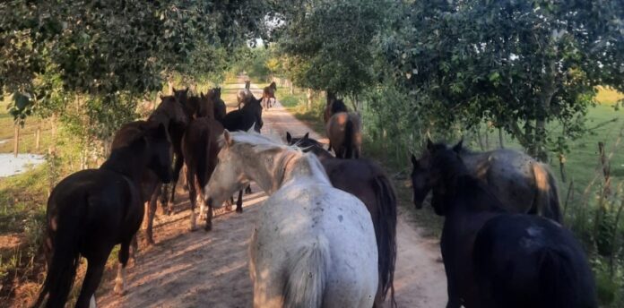 oAGQR7okI_1256x620__1