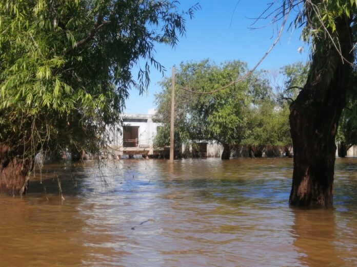 a8069098-8c93-4c6d-8a2f-dd8bf34af78e