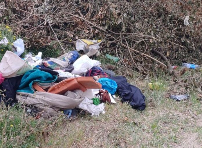 415756965_3163453580616341_3416761747168725949_n