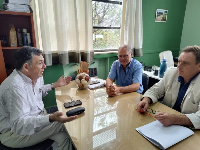 Oliva en vialidad (1)