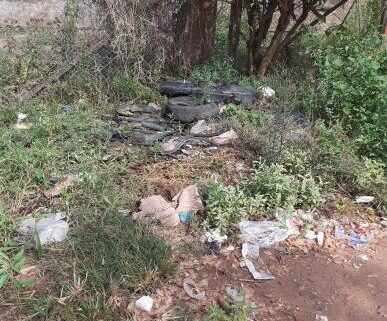 WhatsApp Image 2024-02-13 at 12.50.29