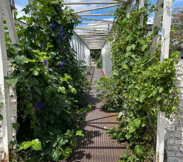 WhatsApp Image 2024-02-22 at 15.04.50