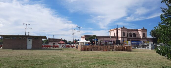 WhatsApp Image 2024-02-22 at 16.37.44