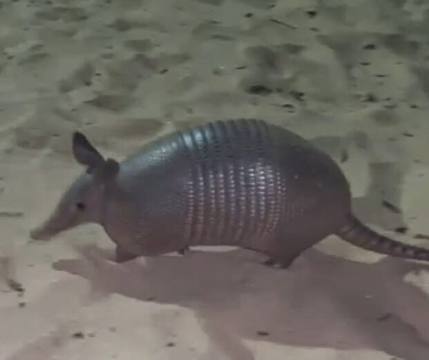 WhatsApp Image 2024-02-22 at 16.48.30