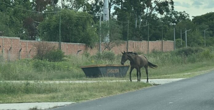 WhatsApp Image 2024-02-23 at 19.29.24