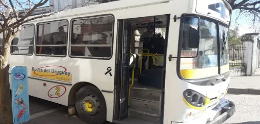 colectivo buses del uruguay