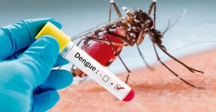 dengue-1