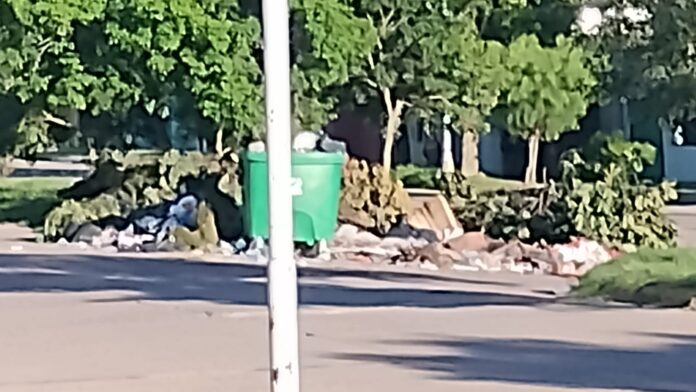 Imagen de WhatsApp 2024-03-25 a las 08.36.56_0b68a50a