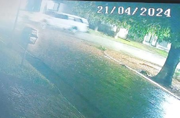 440096665_983557593205930_4890803405322283116_n