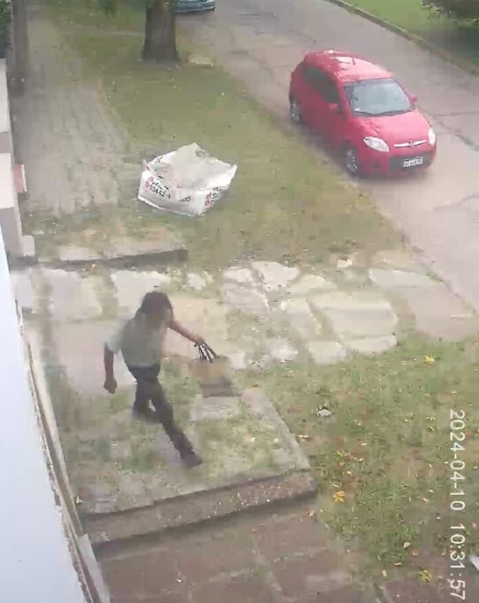 Imagen de WhatsApp 2024-04-10 a las 11.46.18_085e69ce