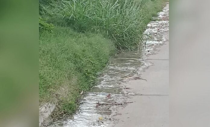 Imagen de WhatsApp 2024-04-11 a las 10.05.46_bf26fdfc