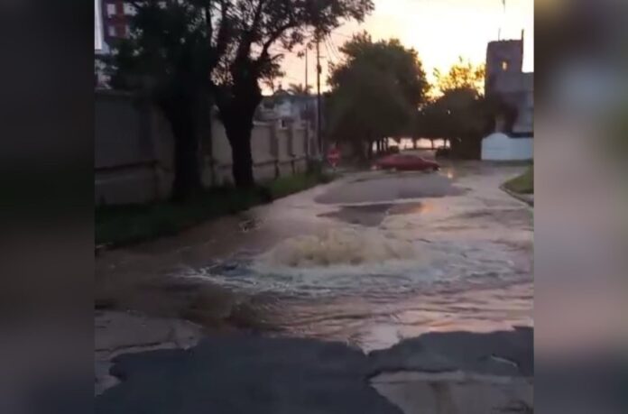 Imagen de WhatsApp 2024-04-12 a las 08.33.41_420714d0