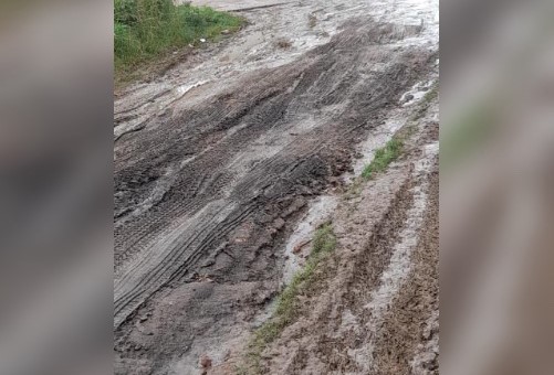 Imagen de WhatsApp 2024-04-30 a las 10.55.09_482b1408