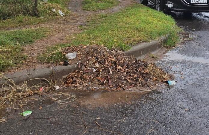 WhatsApp Image 2024-04-22 at 11.01.55