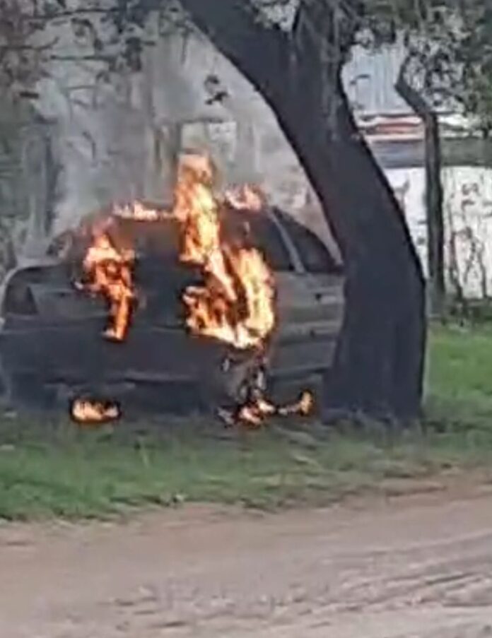 WhatsApp Image 2024-04-22 at 17.00.58