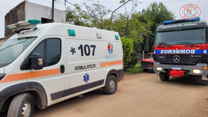 WhatsApp Image 2024-04-26 at 19.48.14