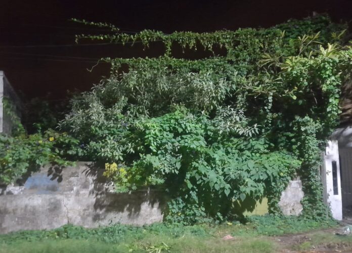 2a008caf-2847-4ef1-b287-1e651801b466