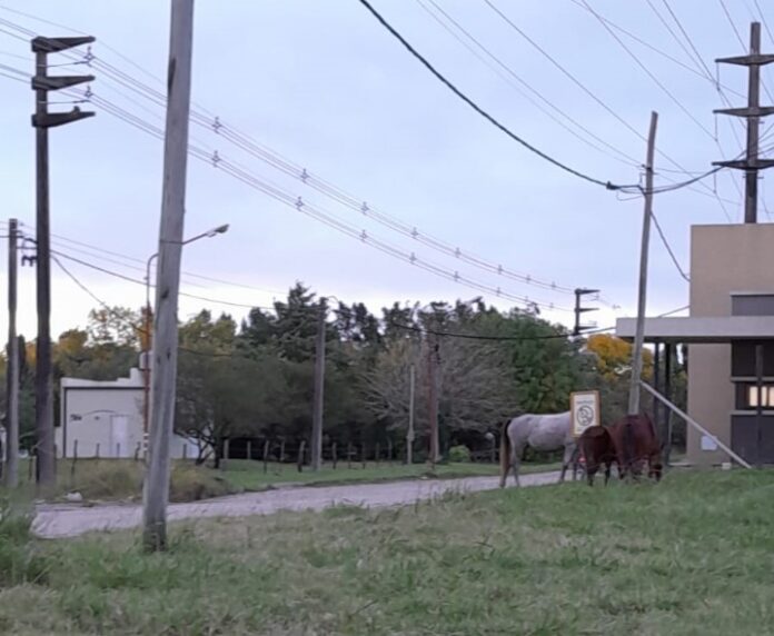 Imagen de WhatsApp 2024-05-13 a las 09.07.20_95f2a84d