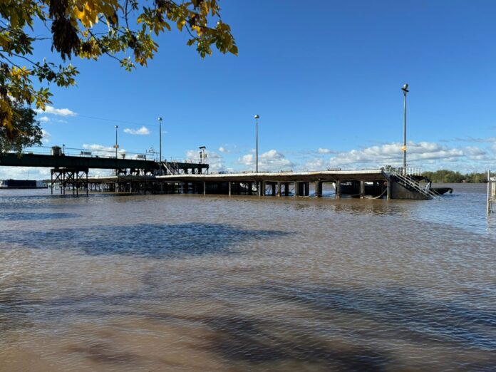 WhatsApp Image 2024-05-08 at 15.17.26