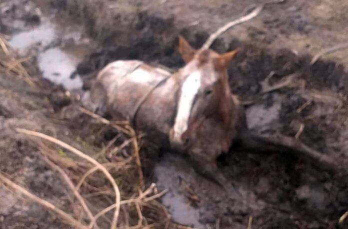 4258e069-0806-46b8-87e6-c5fc45fadebb