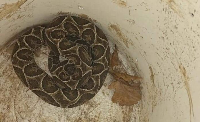 5f7d531a-aed8-4b99-b071-be74dace12e9