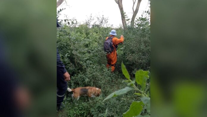 Imagen de WhatsApp 2024-06-18 a las 11.32.24_63ae2bda