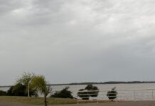 Tormentas y temperaturas en ascenso: el estado del tiempo para este lunes feriado y el resto de la semana
