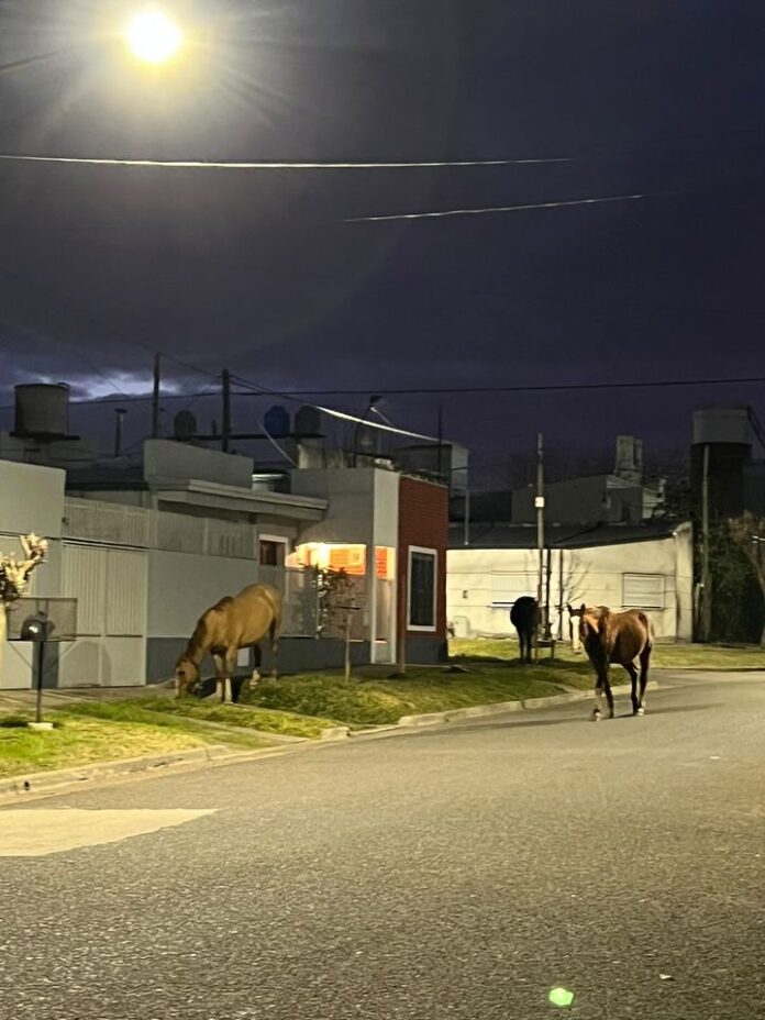 449862215_333681766345533_591823180737038333_n