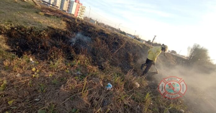 Imagen de WhatsApp 2024-07-05 a las 10.13.19_3c98623f