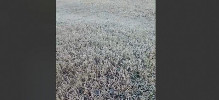 Imagen de WhatsApp 2024-07-09 a las 08.30.32_1d61eb0e